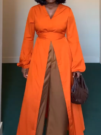 Elegant Deep V Neck Long Sleeve Dress