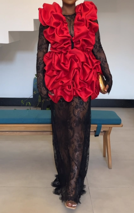 The Fab Lace Stylish Gown