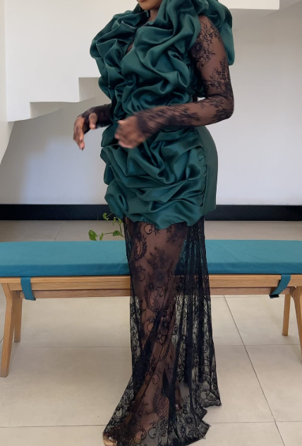 The Fab Lace Stylish Gown