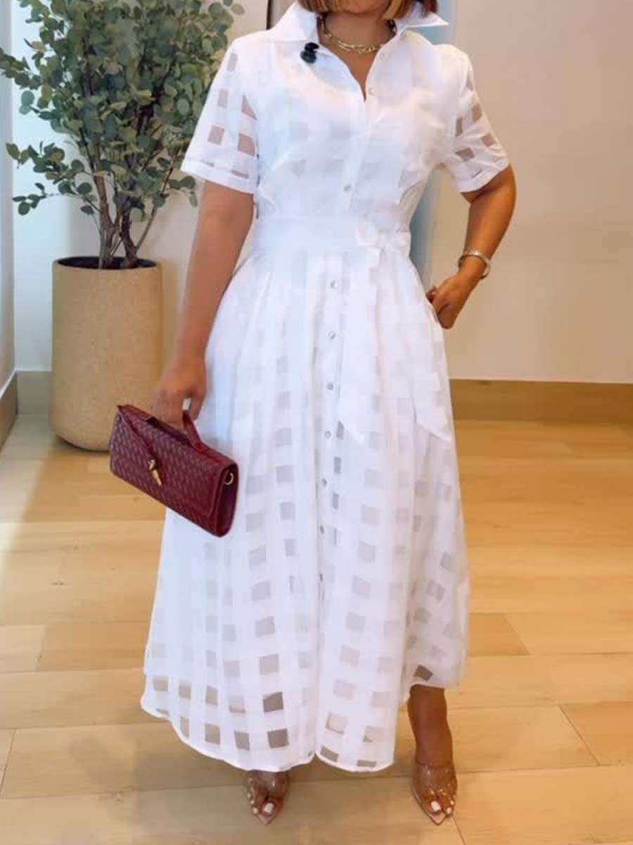 See-through Short Sleeve Belted Dress