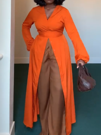 Elegant Deep V Neck Long Sleeve Dress