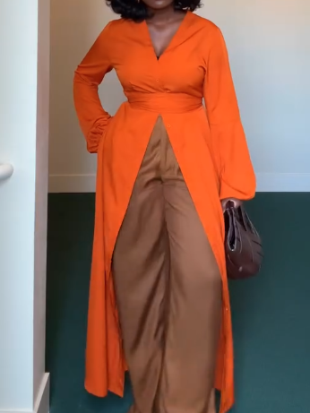 Elegant Deep V Neck Long Sleeve Dress