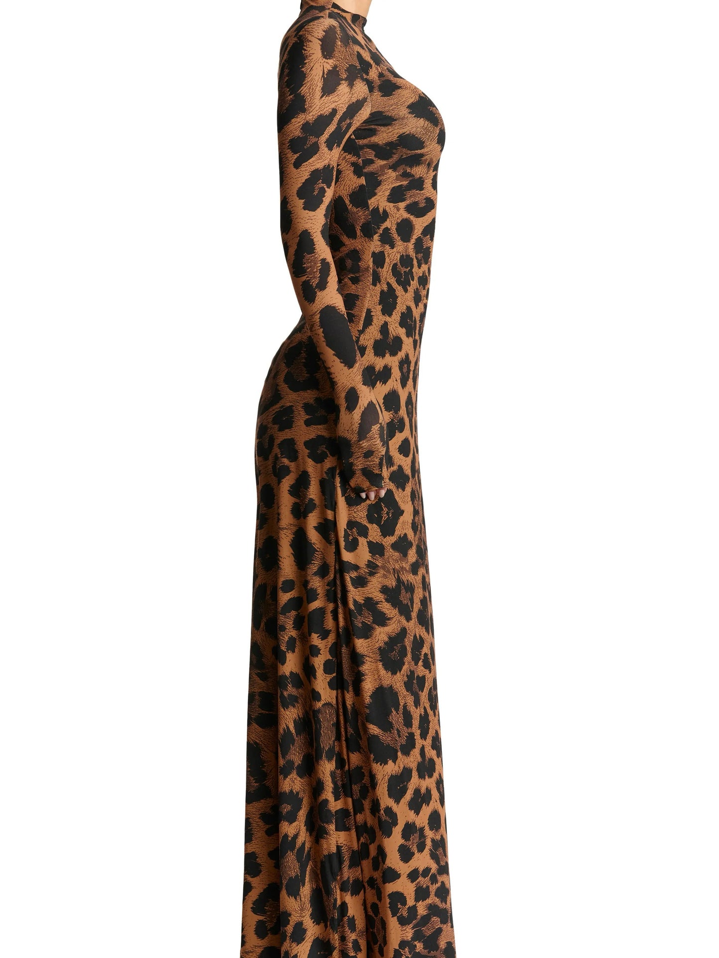 Leopard Print Long Sleeve Maxi Dress