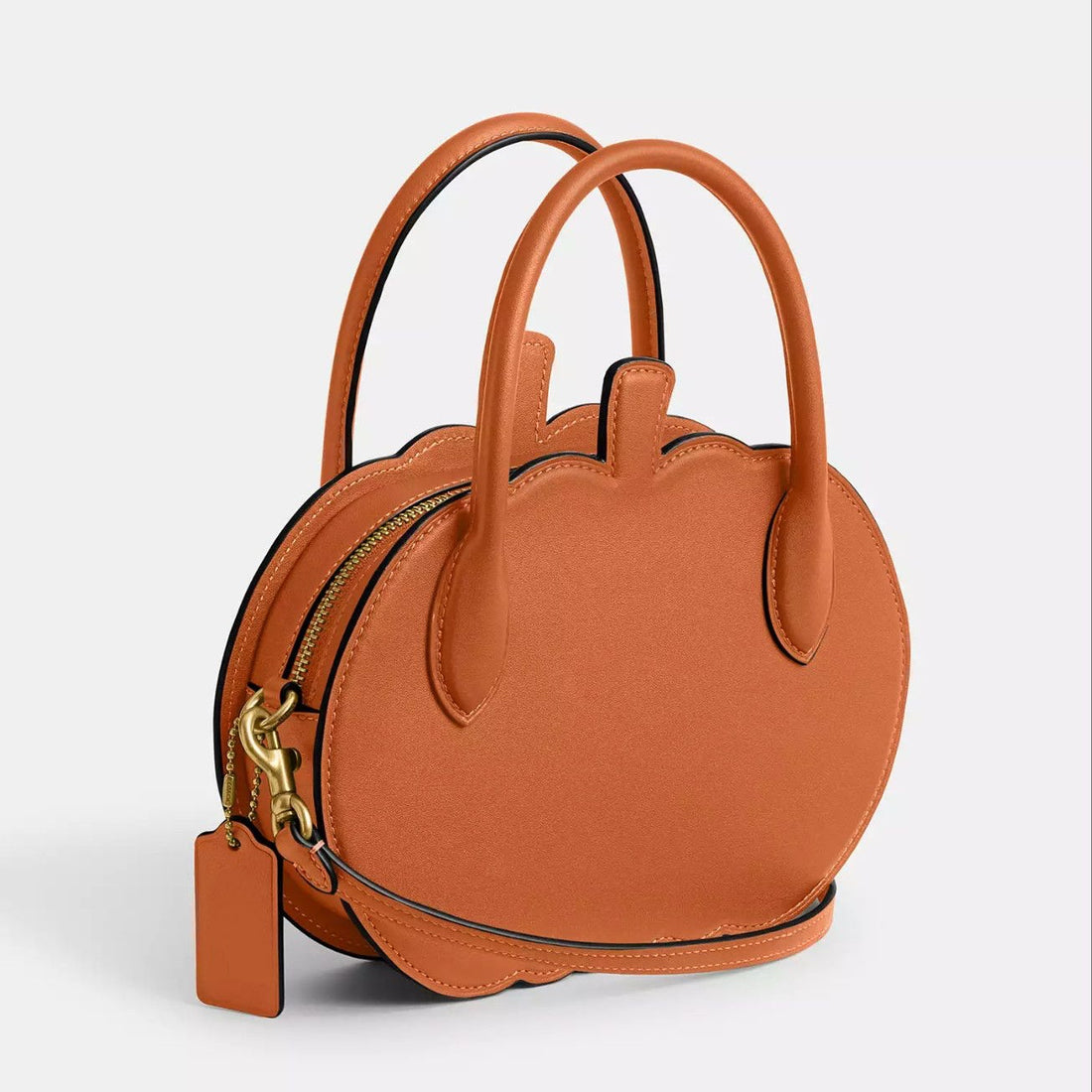 Pumpkin Bag
