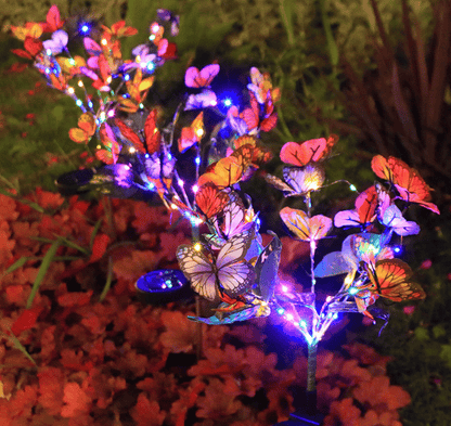Solar Outdoor Butterfly Lights