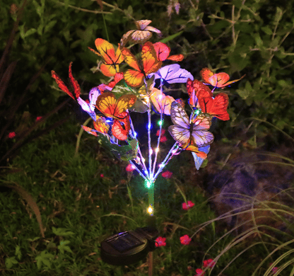 Solar Outdoor Butterfly Lights