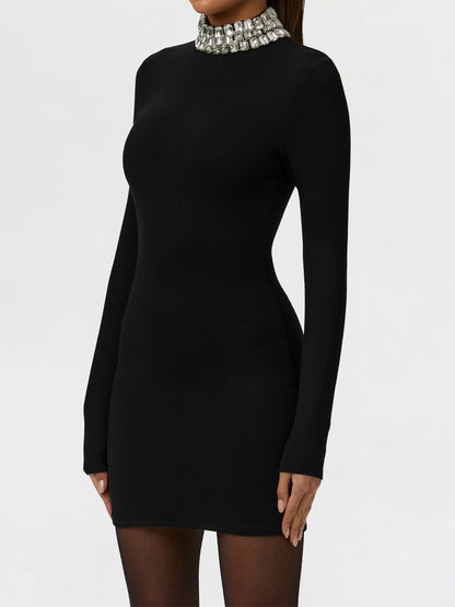 Jewel Necklace Turtleneck Long Sleeve Mini Dress