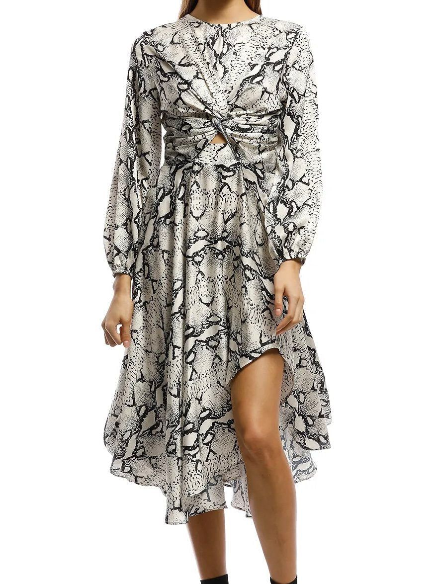 Snake Skin Printed Dress