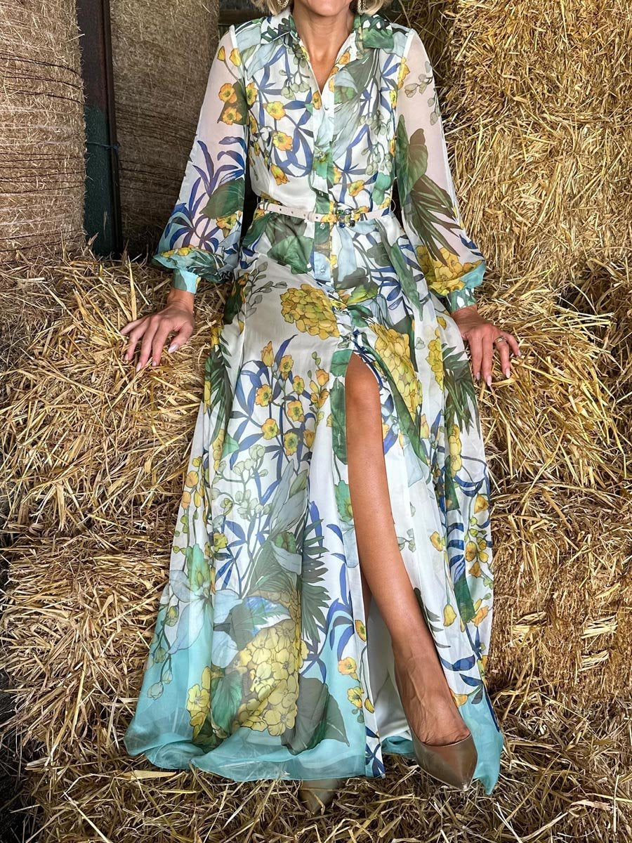 Printed Long Sleeve Maxi Dress